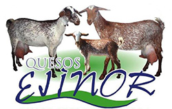 Quesos Ejinor