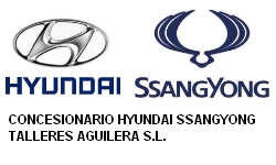 TALLERES AGUILERA SERVICIO OFICIAL HYUNDAI SSANGYONG EL EJIDO